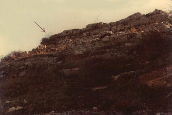 View from top of Ancient steps