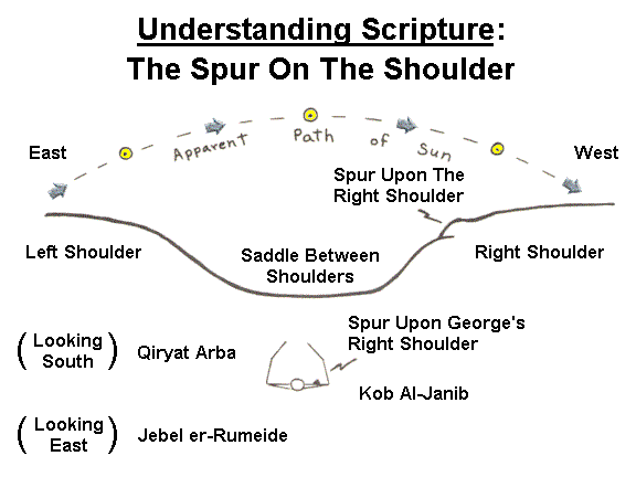Understanding The Spur On The Shoulder